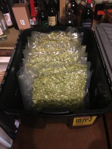 Dried hops